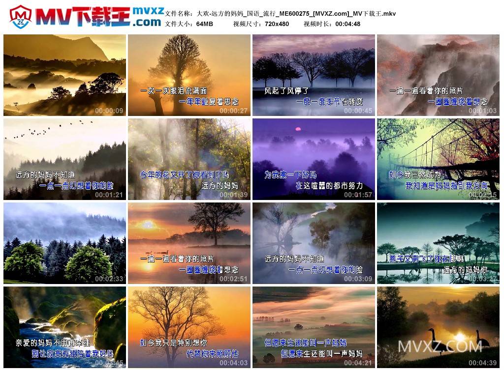 大欢-远方的妈妈_国语_流行_ME600275